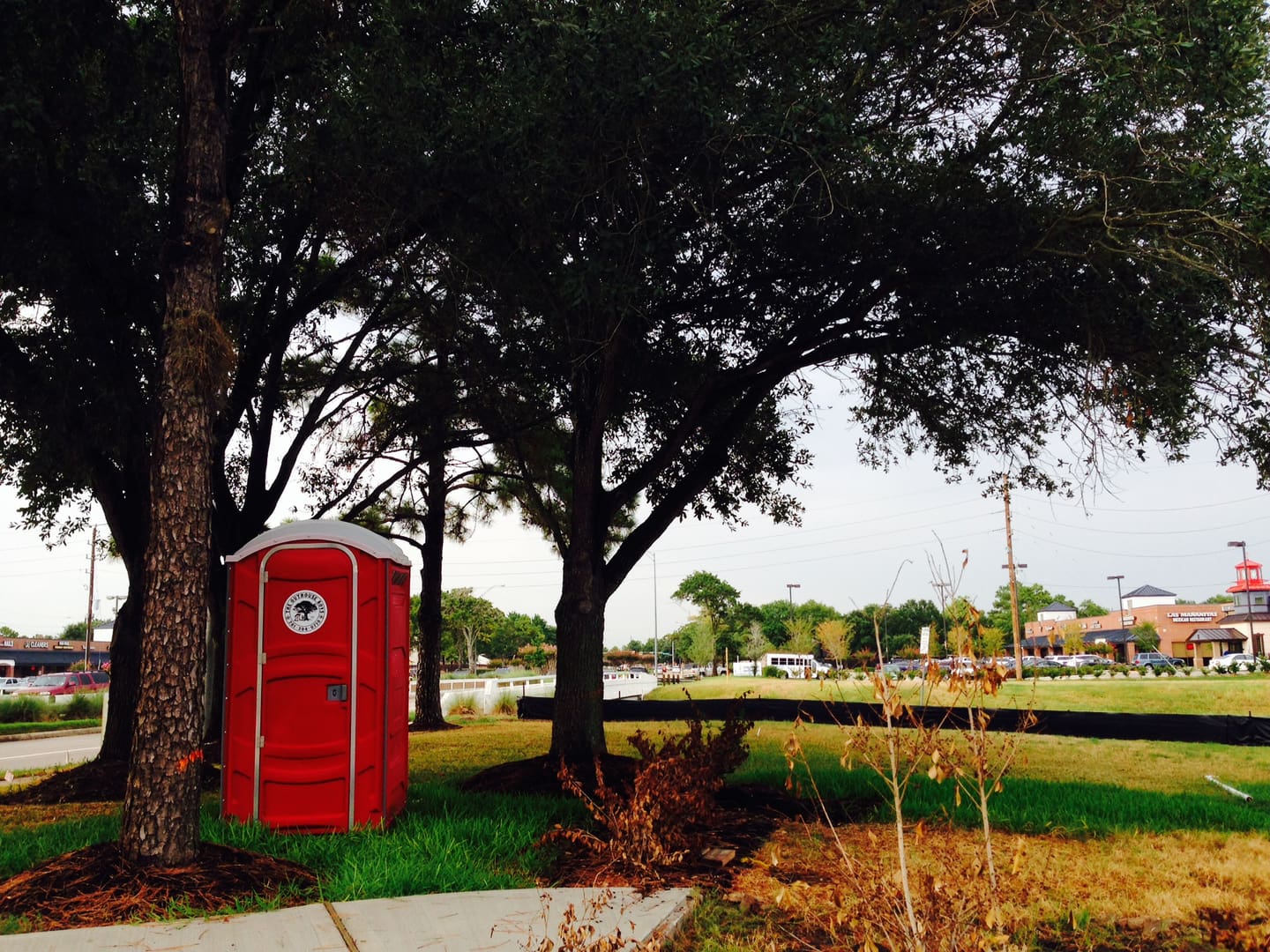 A red toilet sitting in the middle of a park.